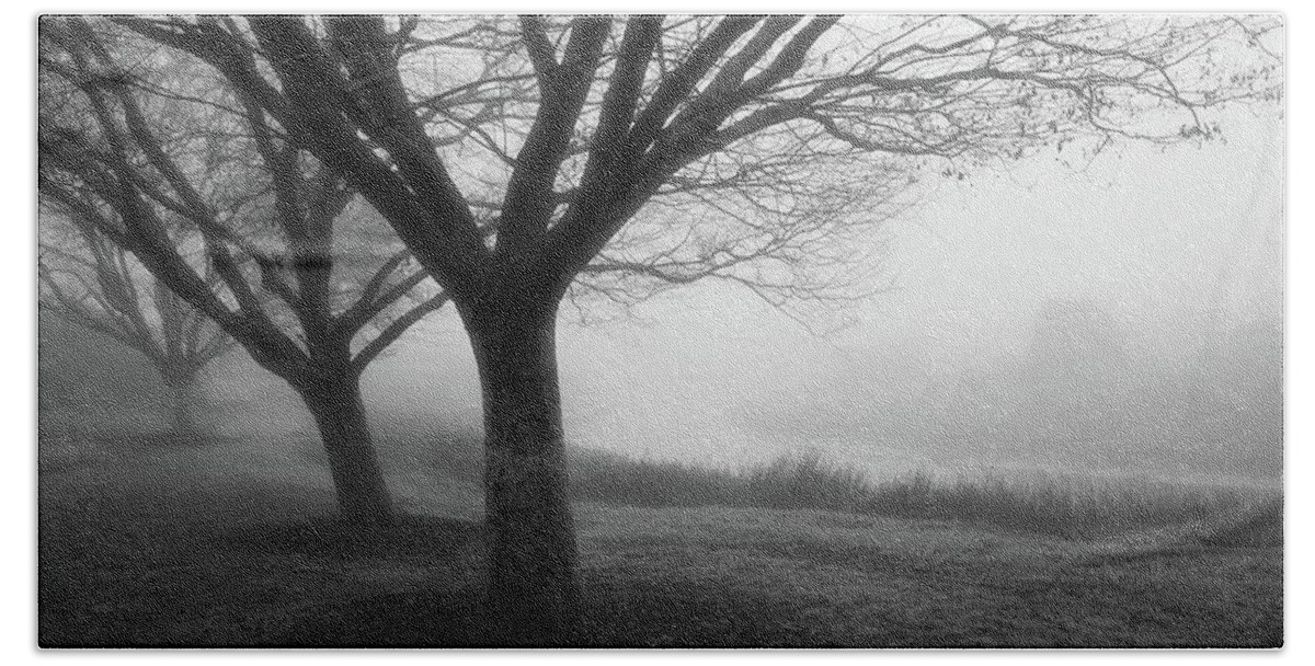 Trees In The Mist Bath Towel featuring the photograph Three Sisters by John Parulis