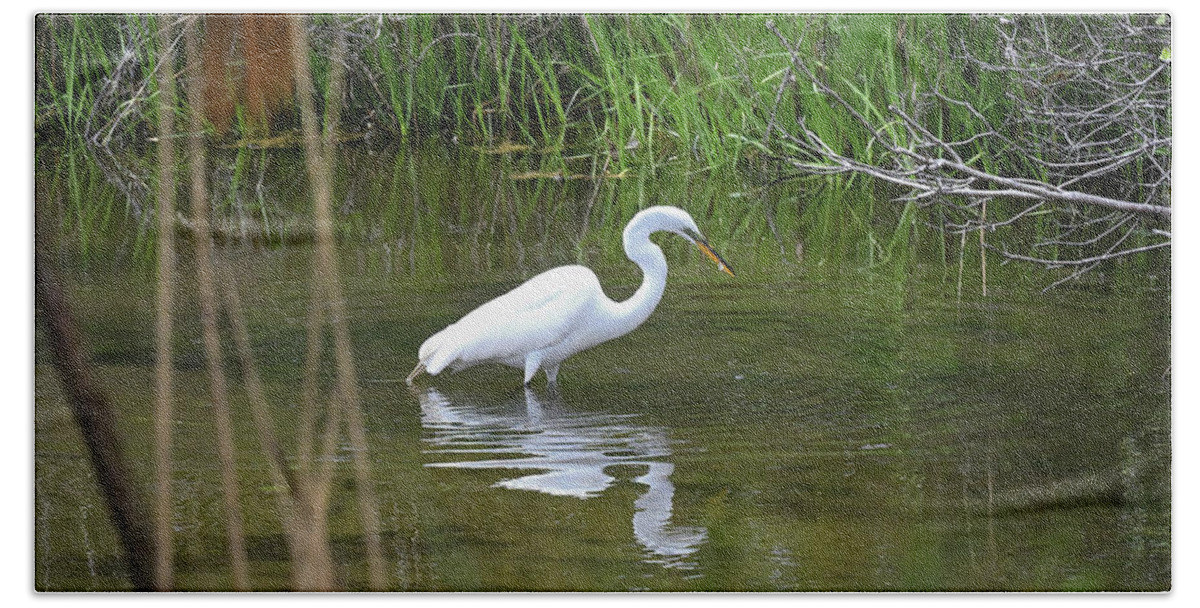Egret Hand Towel featuring the photograph Through The Reeds by Steven Nelson