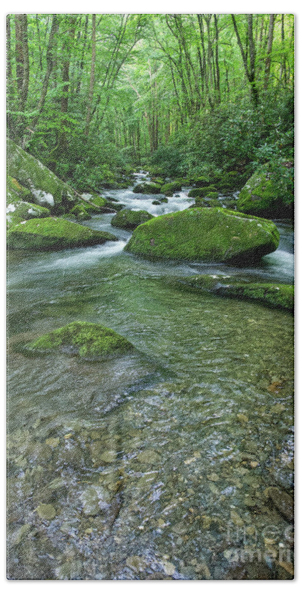Smoky Mountains Bath Towel featuring the photograph Thunderhead Prong 20 by Phil Perkins