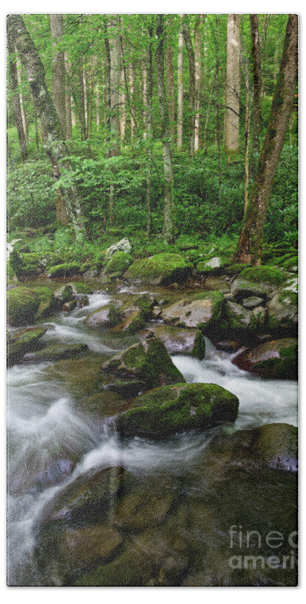 Smoky Mountains Bath Towel featuring the photograph Thunderhead Prong 6 by Phil Perkins