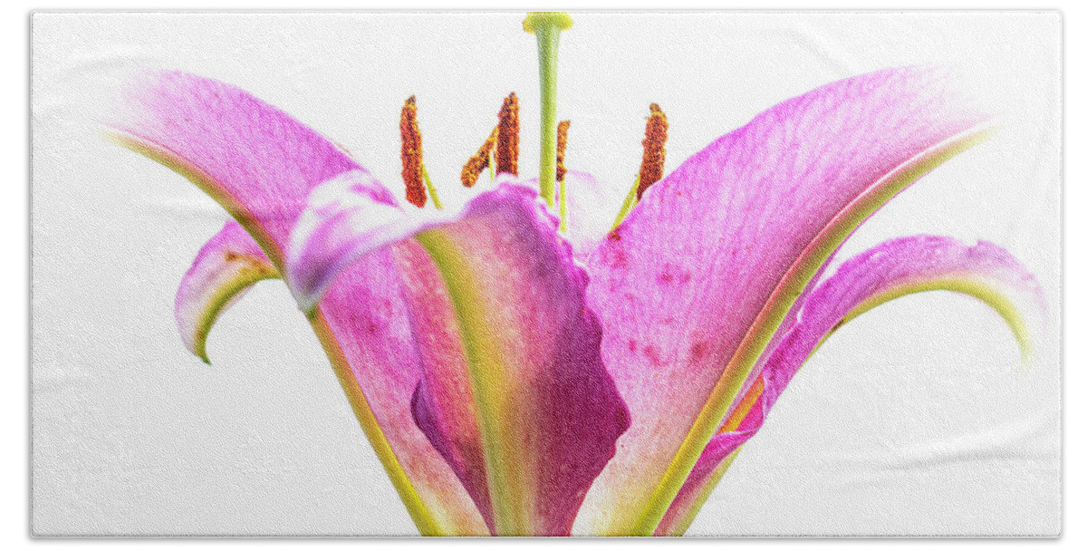 Lily Bath Towel featuring the photograph Tickled Pink by Carol Senske