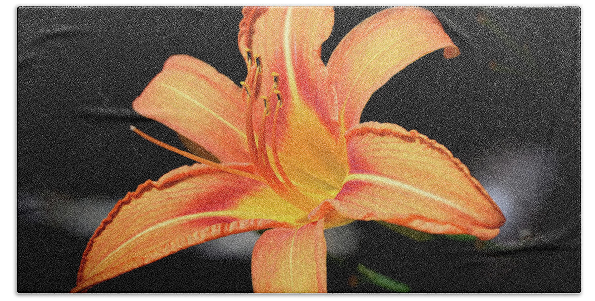 Tiger Hand Towel featuring the photograph Tiger Lily by Steven Nelson