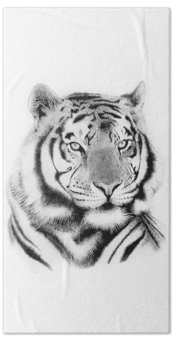Buy Digital Download Pencil Drawing of a Bengal Tiger Artwork Online in  India  Etsy