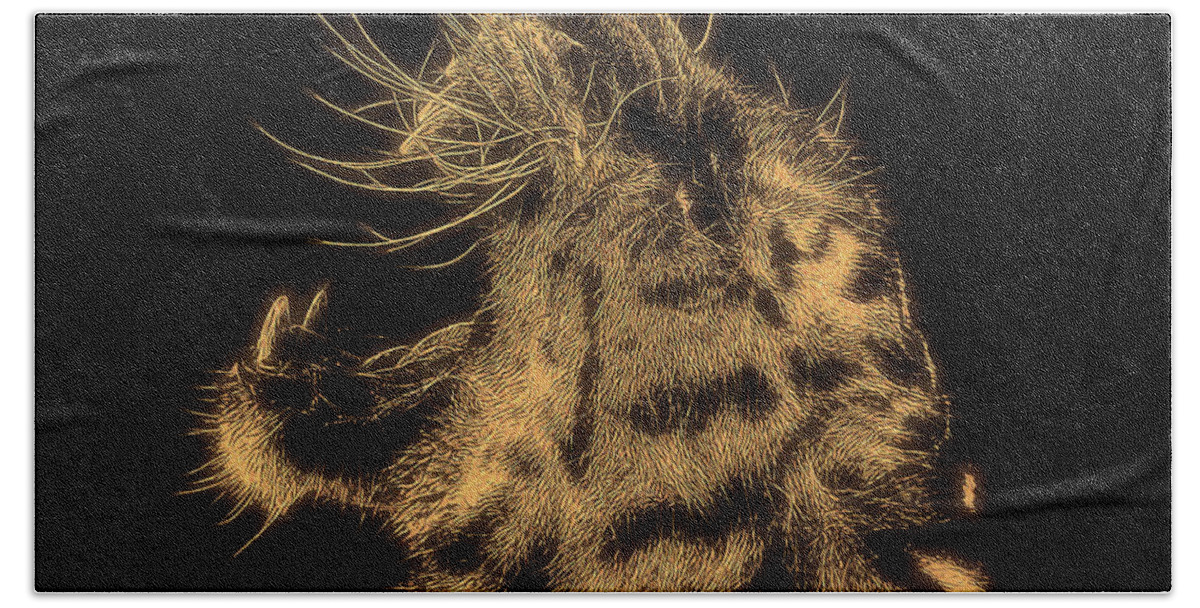 Africa Bath Towel featuring the digital art Tiger Roar by Pheasant Run Gallery