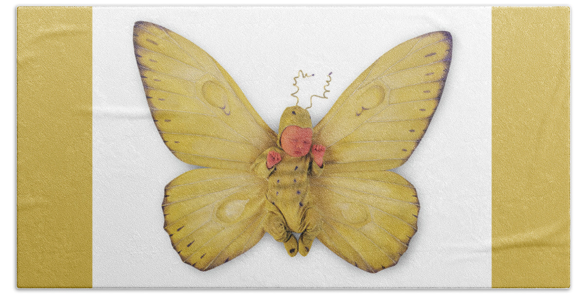Butterfly Hand Towel featuring the photograph Tiny Butterfly #8 by Anne Geddes