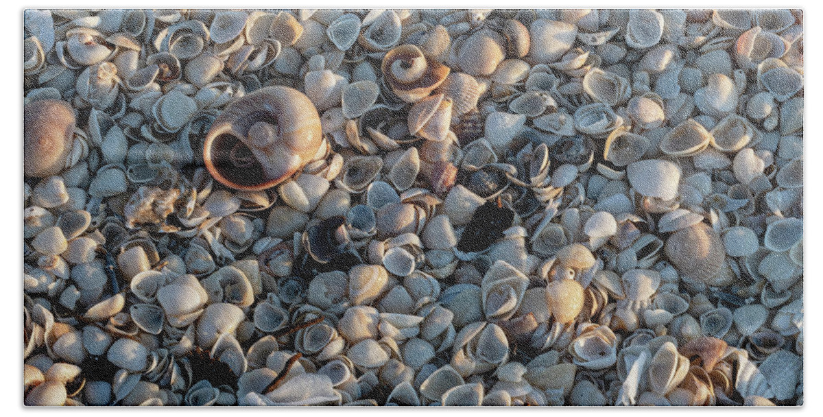 Sea Shells Bath Towel featuring the photograph Tiny Shells by Jerry Connally