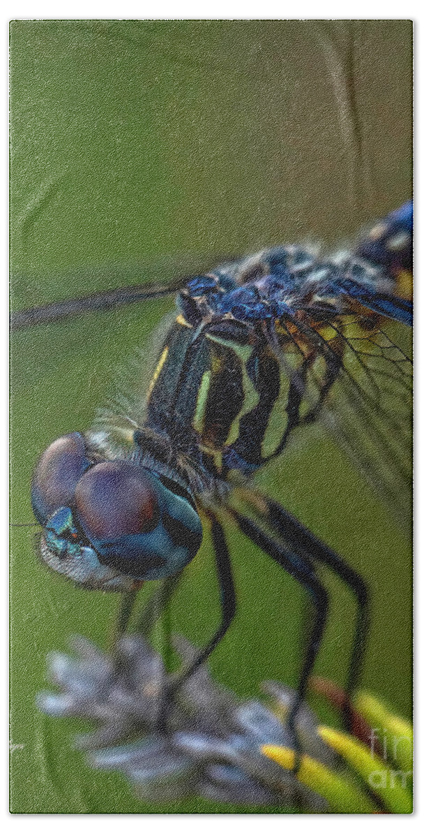 Insects Bath Towel featuring the photograph Tiny World 2 by DB Hayes