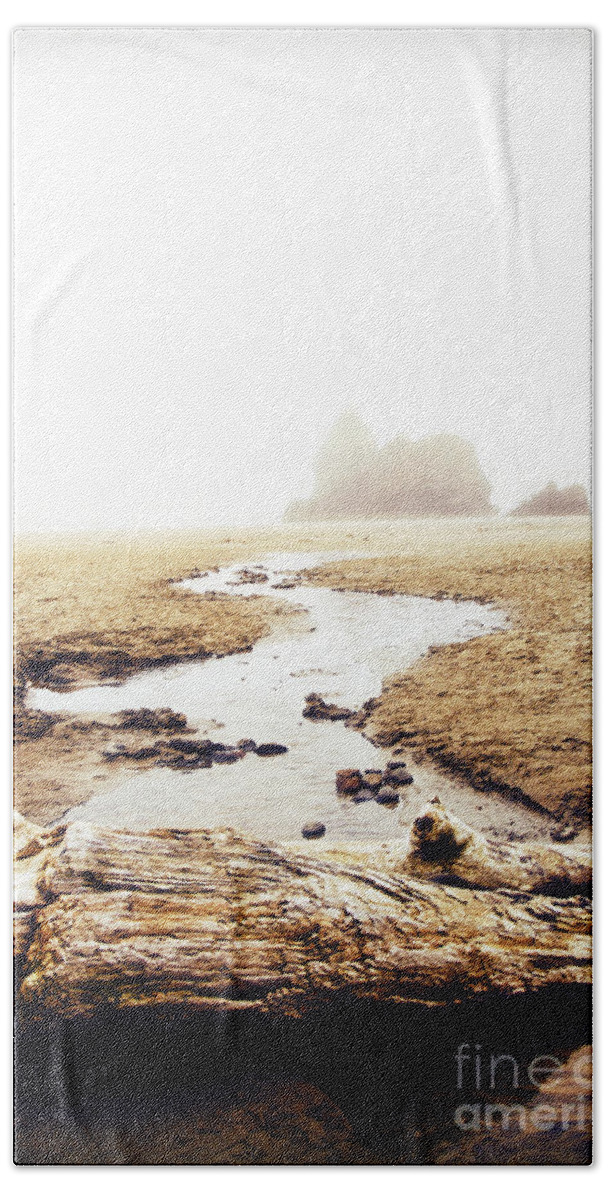 Coast Hand Towel featuring the photograph To The Sea by Lincoln Rogers