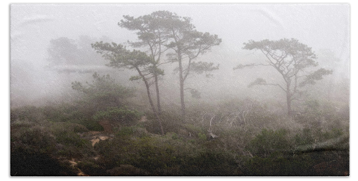 San Diego Hand Towel featuring the photograph Torrey Pines Fog by William Dunigan
