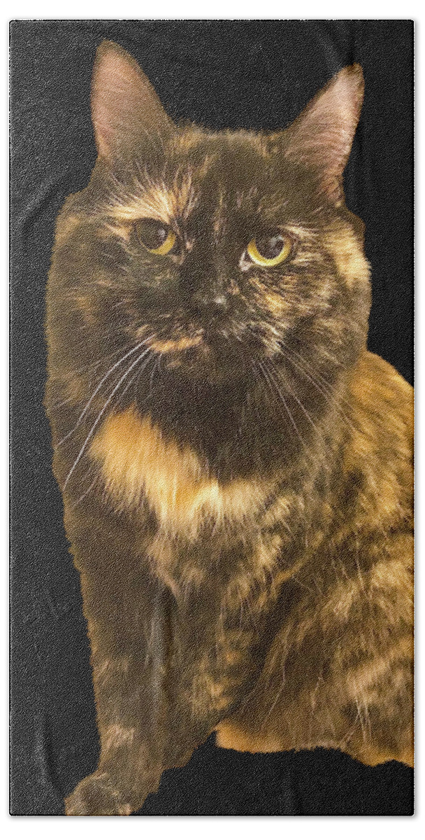 Cat Bath Towel featuring the photograph Tortoise Long Hair Cat by Lisa Pearlman