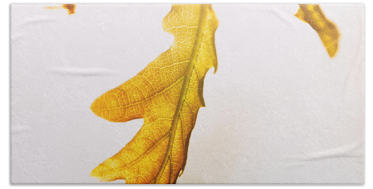 Wind Bath Towel featuring the photograph Touch of sun 2 by Jaroslav Buna