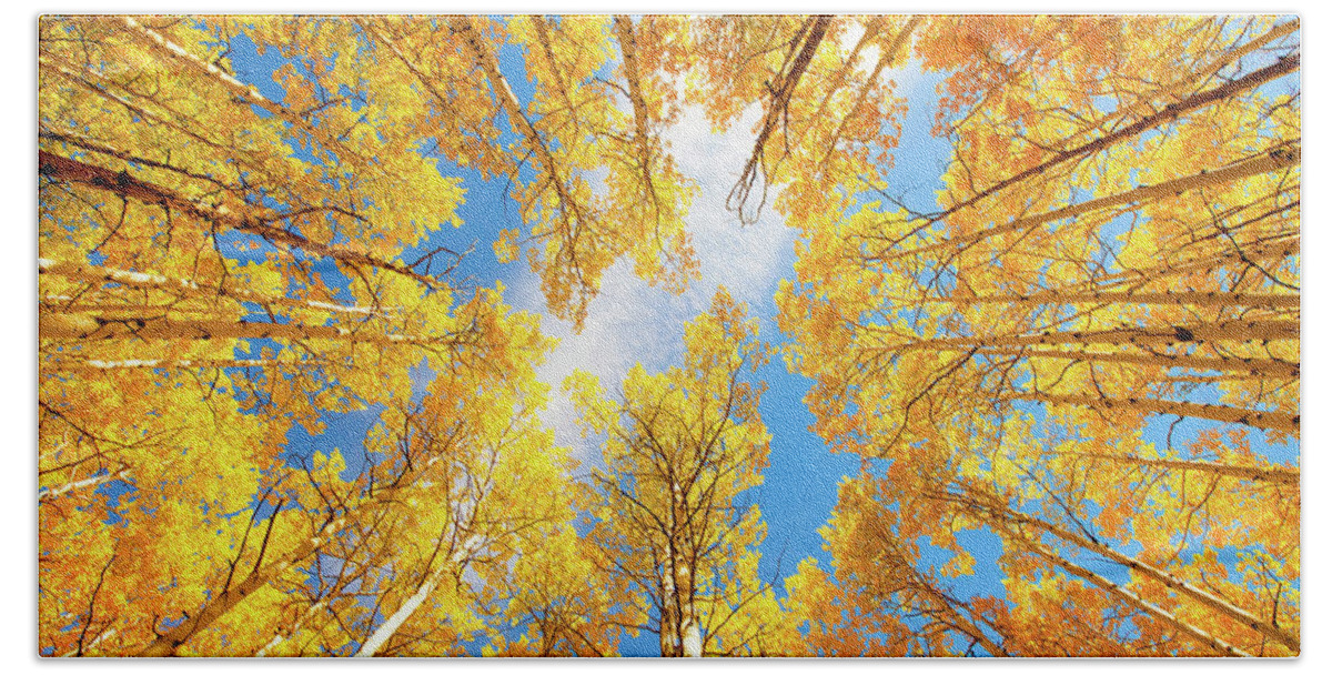 Aspens Bath Sheet featuring the photograph Towering Aspens by Darren White