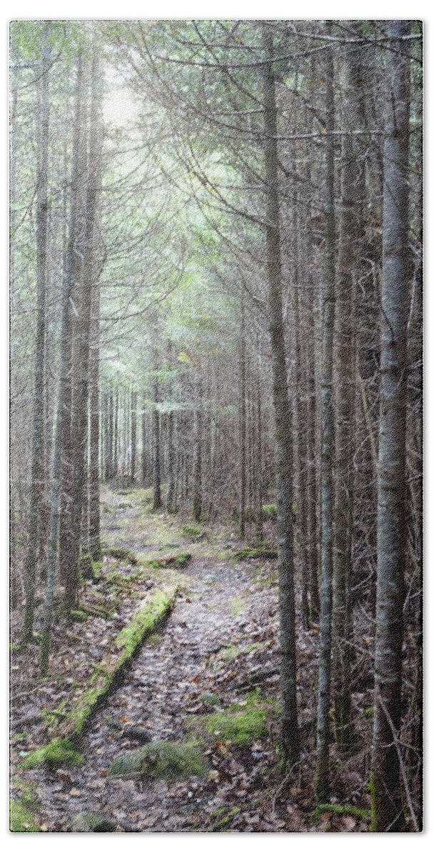 Maine Bath Towel featuring the photograph Trail in Northern Maine Woods by Russ Considine