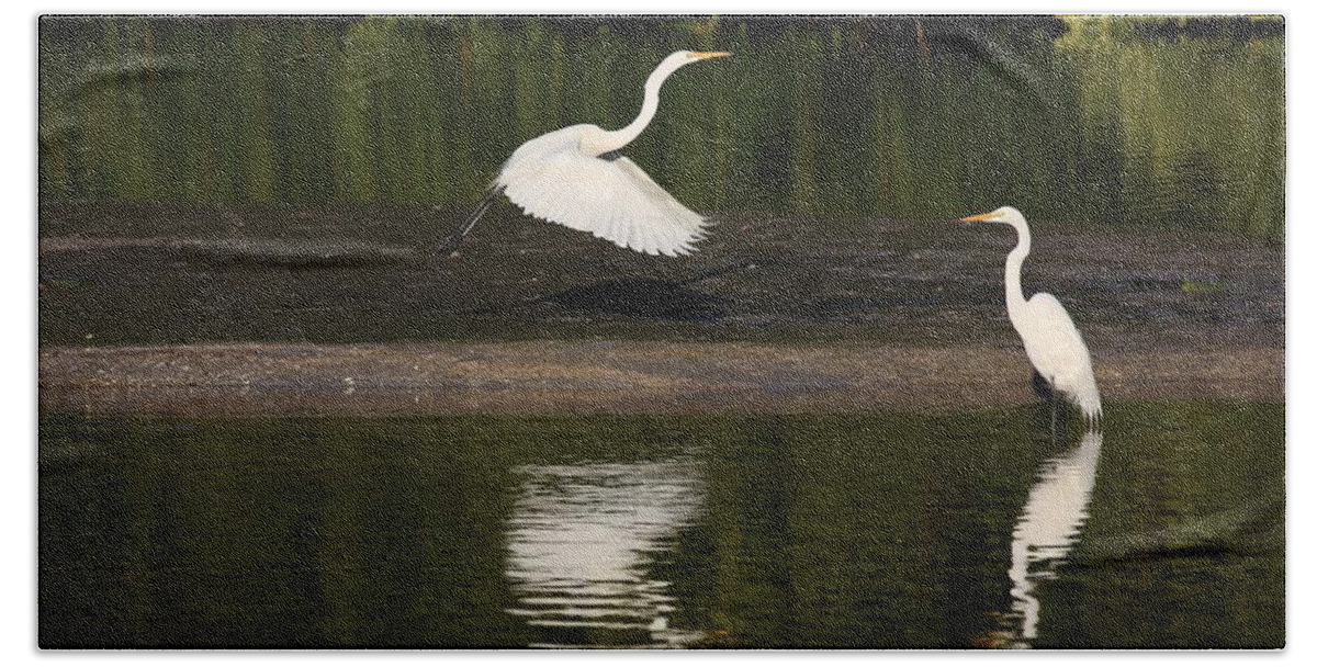 Great Egret Bath Towel featuring the photograph Tranquil Scenery 1 by Mingming Jiang