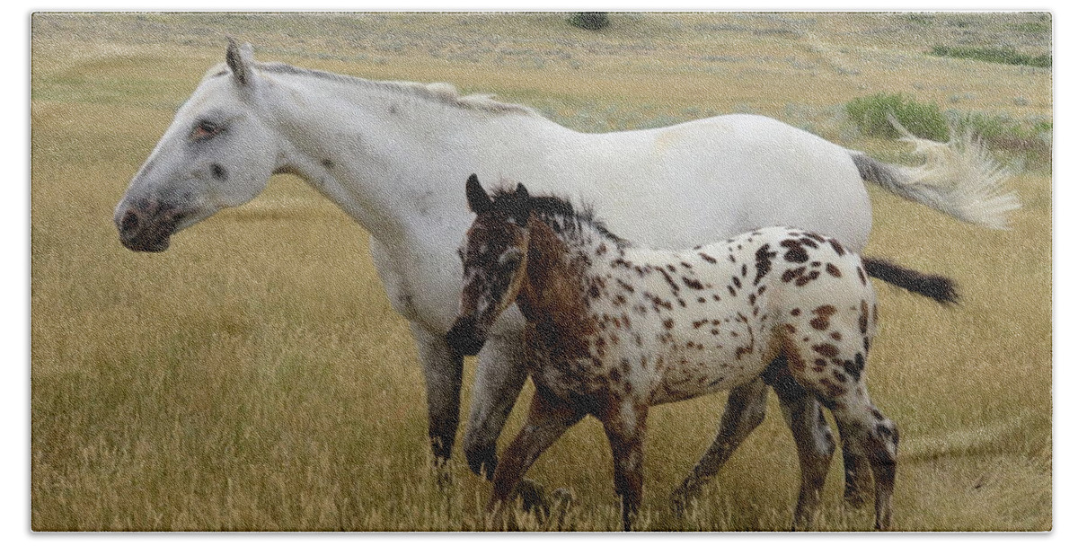 Appaloosa Bath Towel featuring the photograph Traveling Through  by Katie Keenan