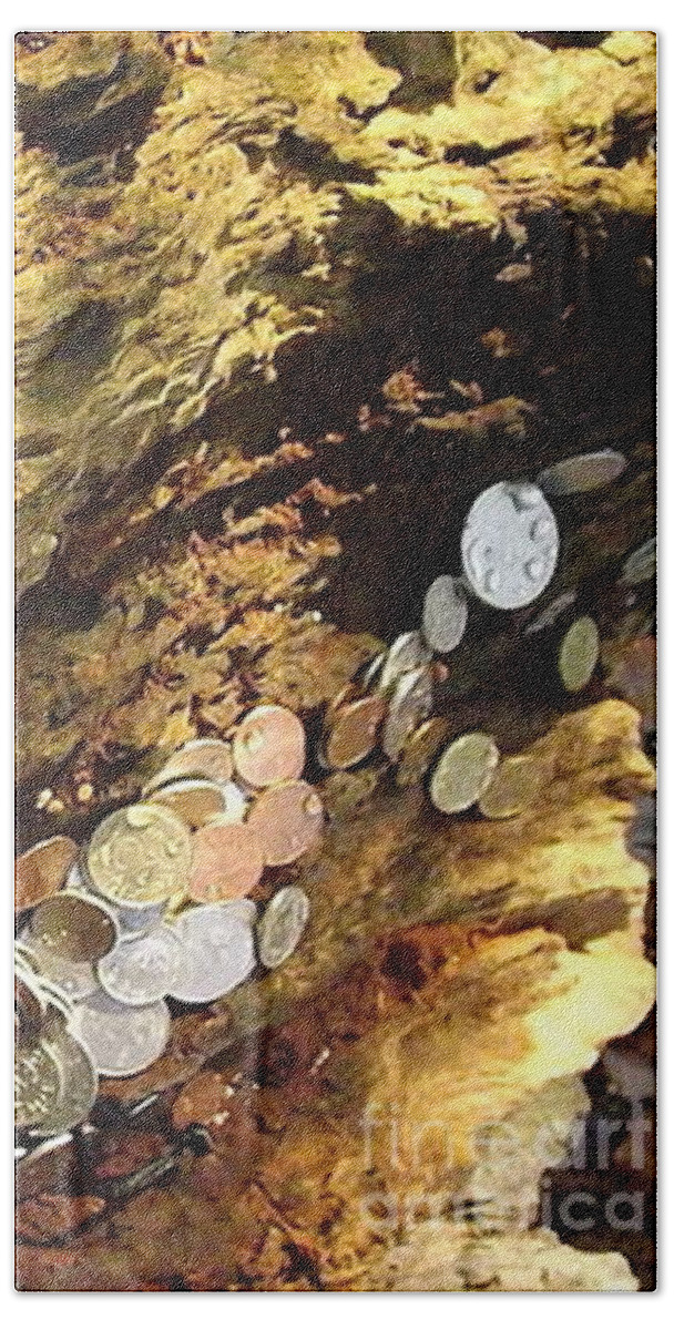 Old Coins Bath Sheet featuring the photograph Treasure Bark 4 by Denise Morgan