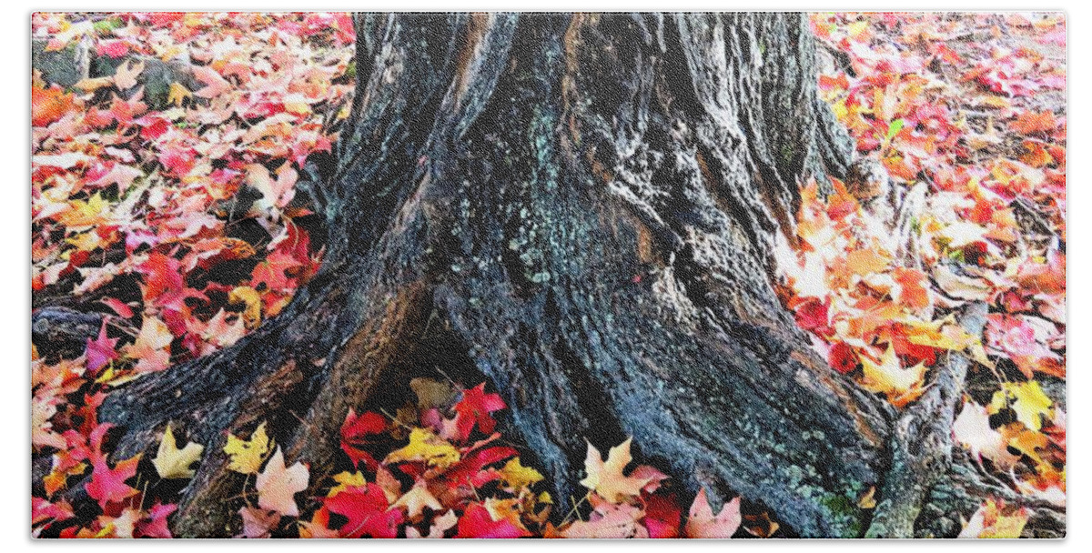Tree Roots Bath Towel featuring the photograph Tree Confetti in Autumn by Linda Stern