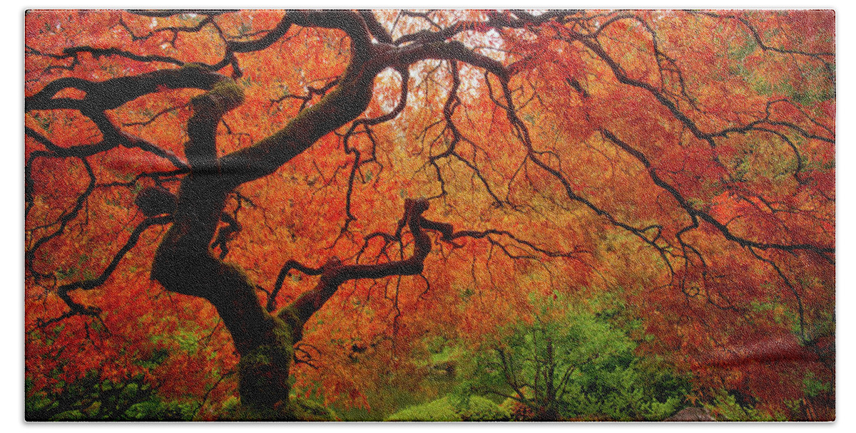 Fall Hand Towel featuring the photograph Tree Fire - New and Improved by Darren White