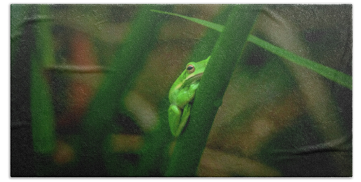 Frog Bath Towel featuring the photograph Tree Frog-1 by John Kirkland