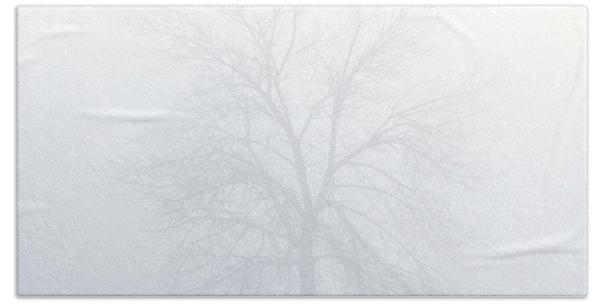 Fog Hand Towel featuring the photograph Tree in the Fog by Darren White