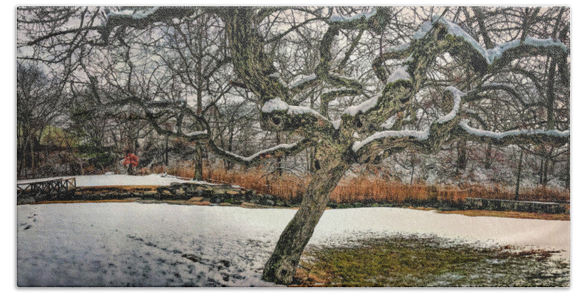 Snow Covered Bath Towel featuring the photograph Tree In Winter With Snow by Cordia Murphy
