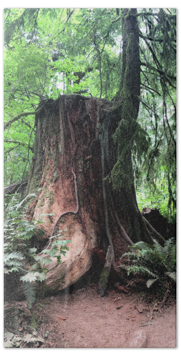 Tree Bath Towel featuring the photograph Tree Life by Grey Coopre