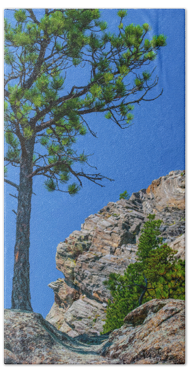 Tree Hand Towel featuring the photograph Tree On Rocks by Gordon Sarti