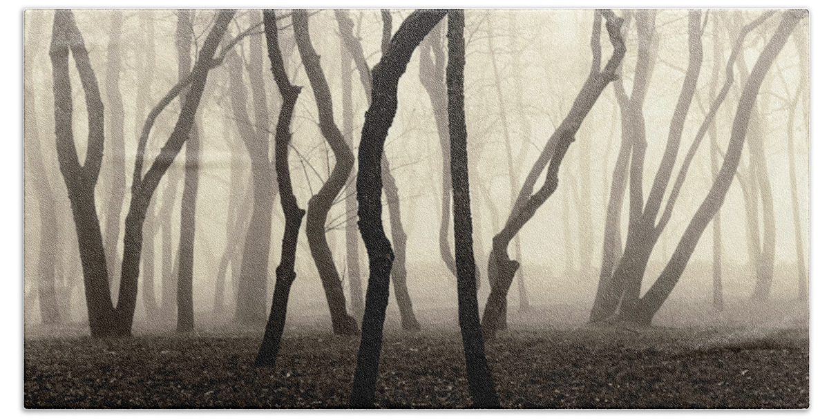 Trees Bath Towel featuring the photograph Trees and Fog No. 1 by David Gordon