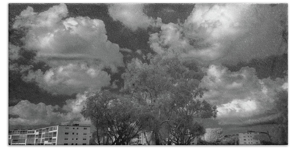 Trees Bath Towel featuring the photograph Trees, Clouds and Condos by Alan Goldberg