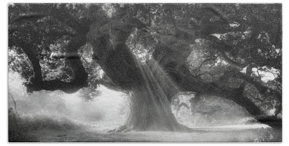  Bath Towel featuring the photograph Phantom tree by Remigiusz MARCZAK