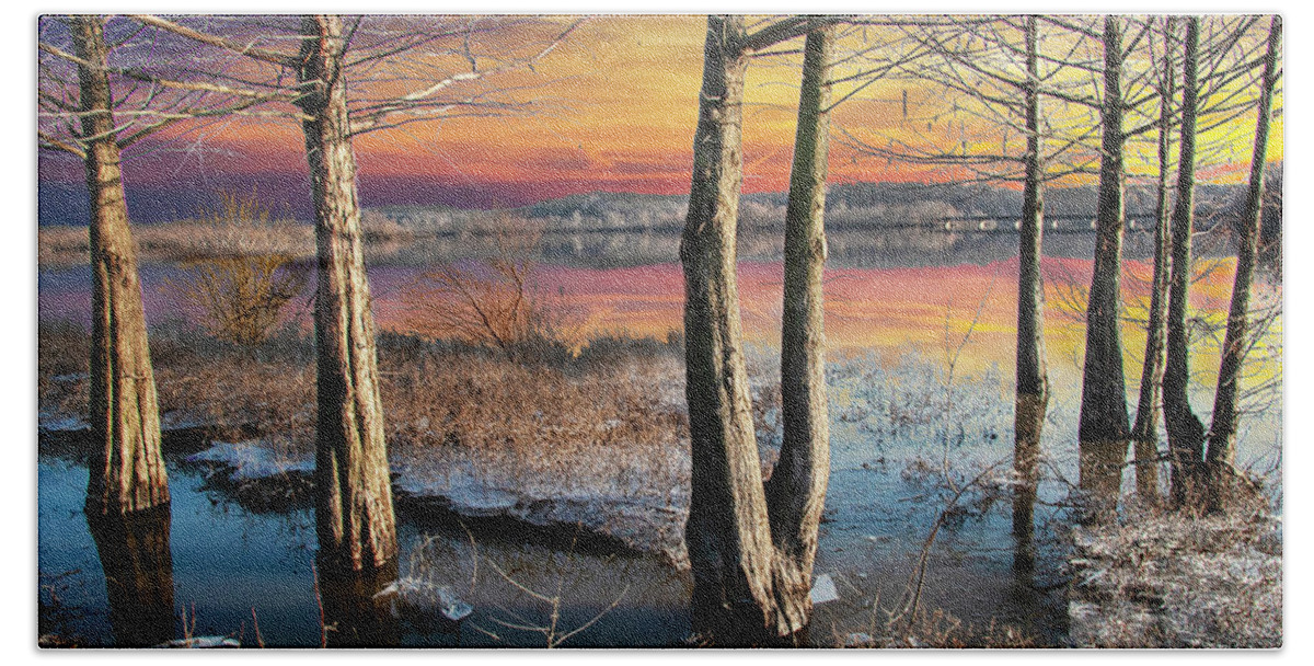 River Bath Towel featuring the photograph Trees in the Early Spring Flooding on the Neosho River Bank in O by Randall Nyhof