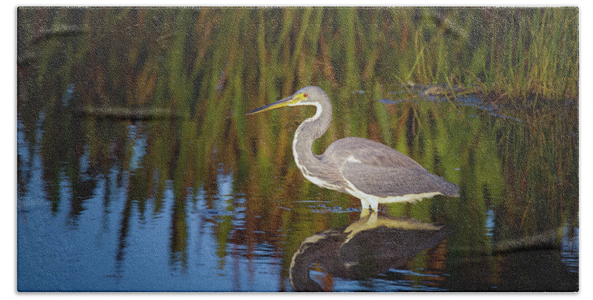 Tricolor Heron Bath Towel featuring the photograph Tricolored Heron Enjoys the Sunset by Mark Andrew Thomas