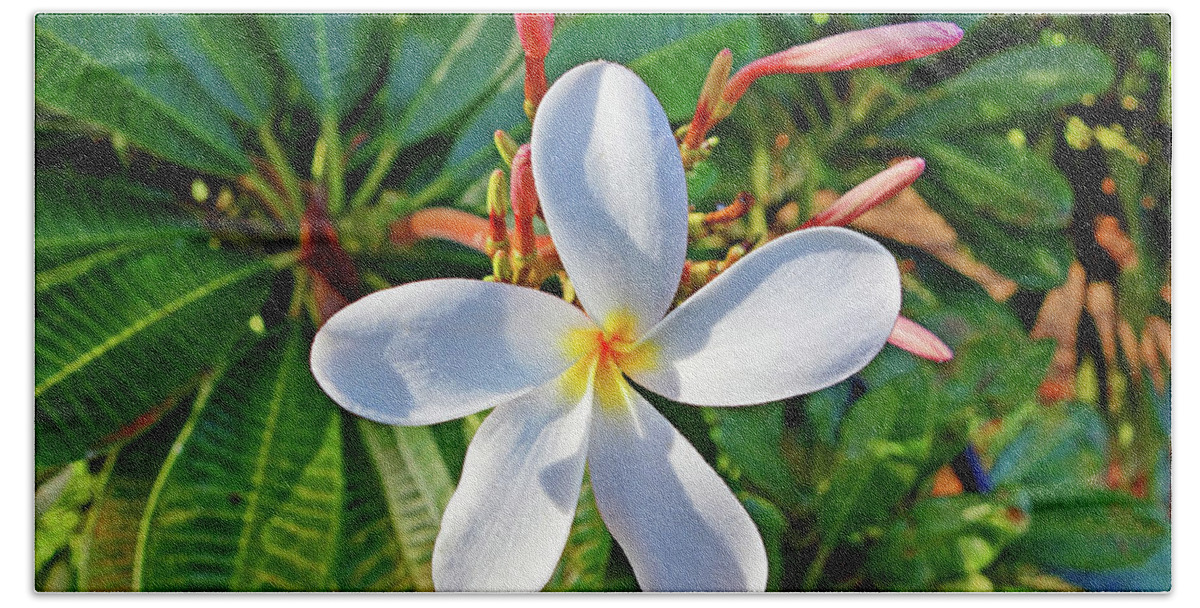 Waikiki Hand Towel featuring the photograph Tropical Plantation Maui Study 30 by Robert Meyers-Lussier