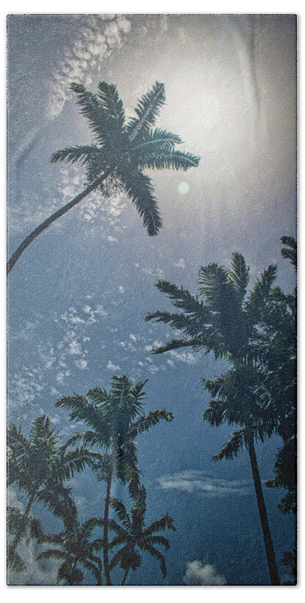 Tree Bath Towel featuring the photograph Tropical Spotlight by Portia Olaughlin