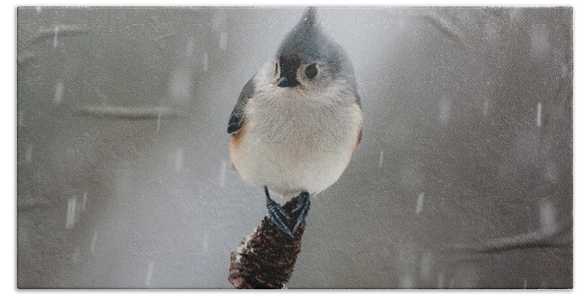 Tufted Titmouse In Snow Bath Towel featuring the photograph Tufted Titmouse in snow by Diane Giurco