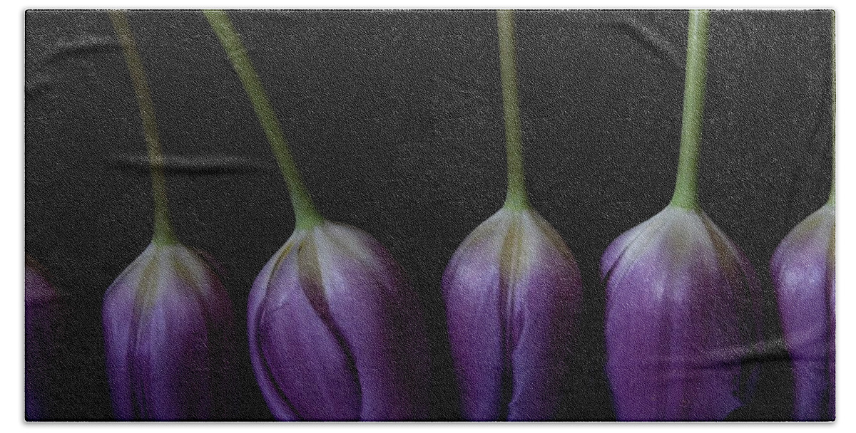 Floral Hand Towel featuring the photograph Tulip 1116 2V by Julie Powell