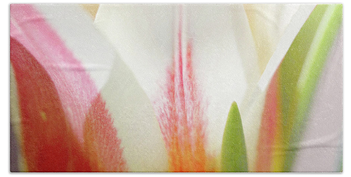 Tulip Blossom Abstract Hand Towel featuring the photograph Tulip Blossom Abstract by Natalie Dowty