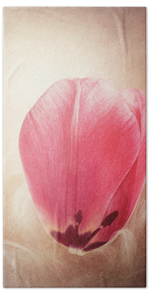Petal Hand Towel featuring the photograph Tulip Petal by Philippe Sainte-Laudy