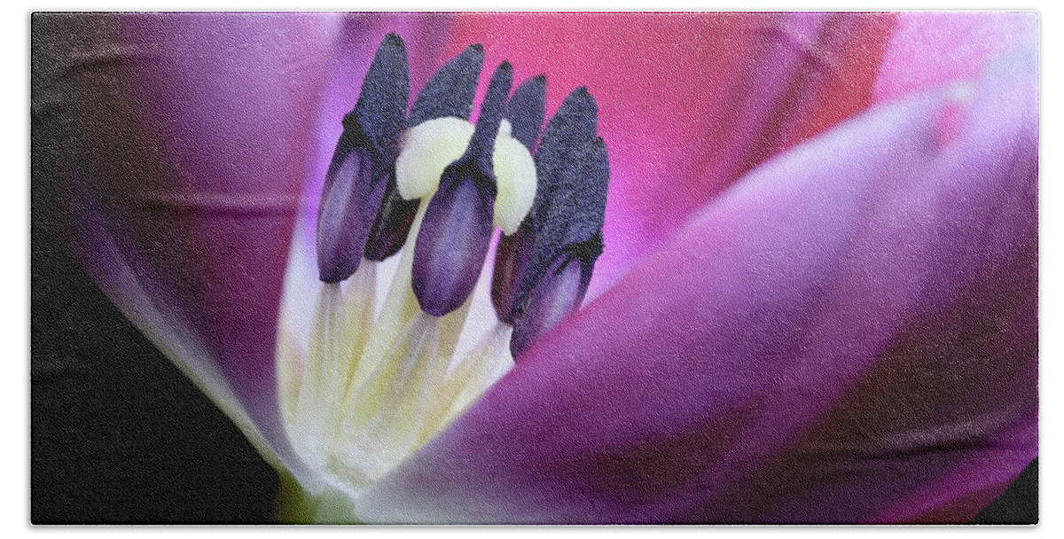 Macro Hand Towel featuring the photograph Tulip Pink 3917 by Julie Powell