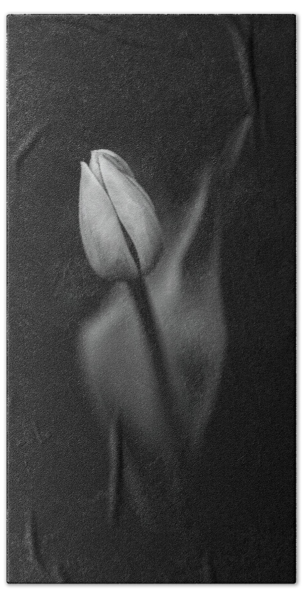 Tulip Bath Towel featuring the photograph Tulip by Scott Norris