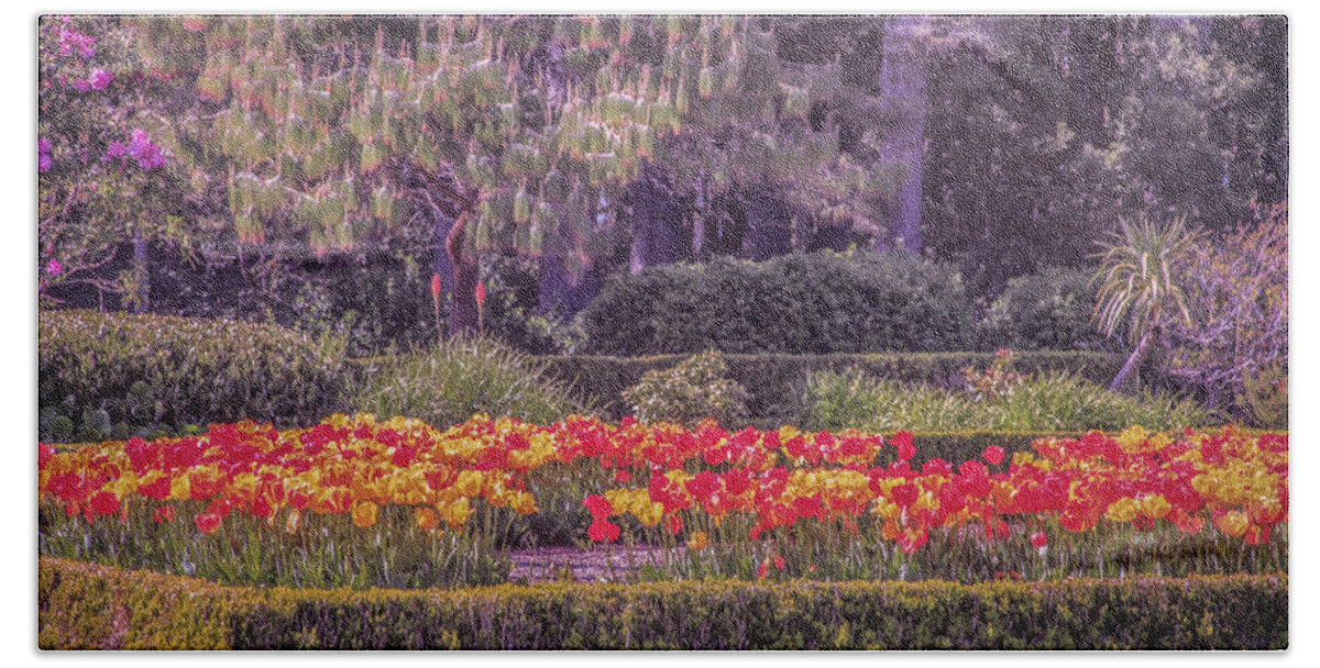 Tulips Hand Towel featuring the photograph Tulips at Shore Acres by Sally Bauer