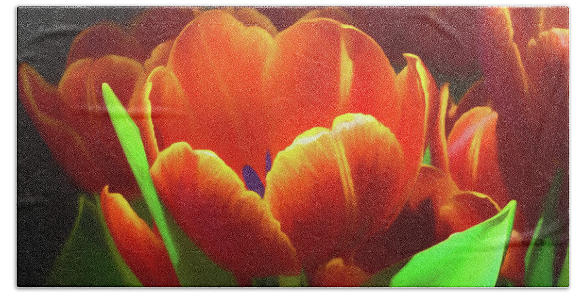Vivid Orange Bath Towel featuring the photograph Tulips by John Roach