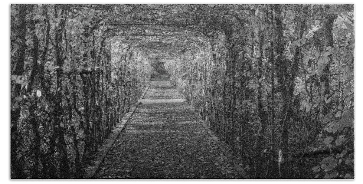Tunnelingvinesblackandwhite Hand Towel featuring the photograph Tunneling Vines Black and White by Vicky Edgerly