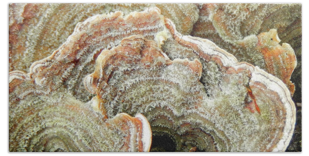 Abstract Bath Towel featuring the photograph Turkeytail Fungus Abstract by Karen Rispin