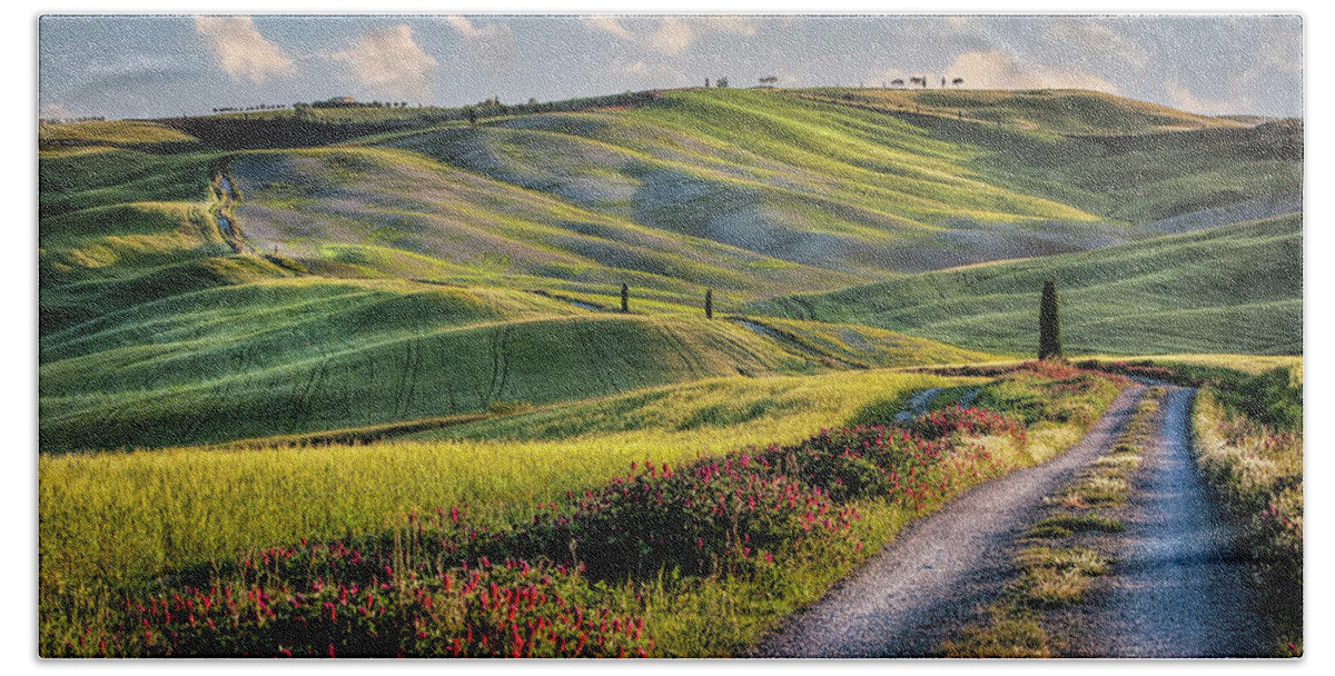 Tuscany Hand Towel featuring the photograph Tuscan Country Road Print by Harriet Feagin