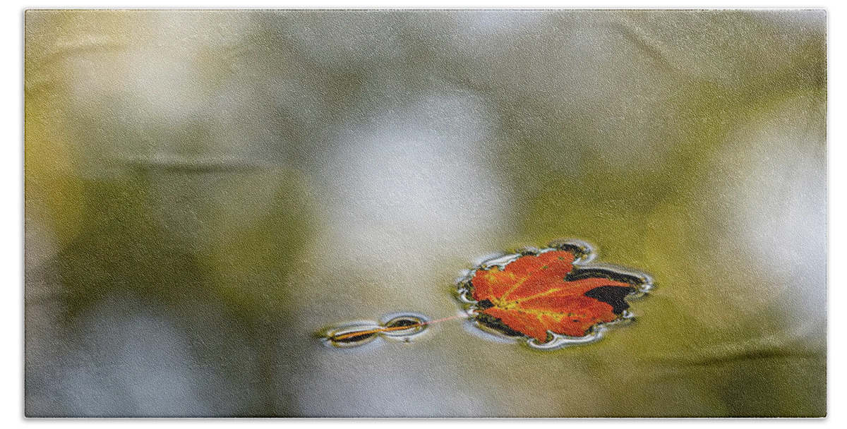Autumn Bath Towel featuring the photograph Twin Lakes Gold by Kevin Suttlehan