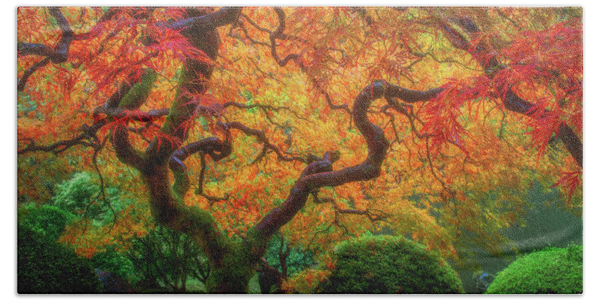 Fall Colors Hand Towel featuring the photograph Twisted Autumn by Darren White