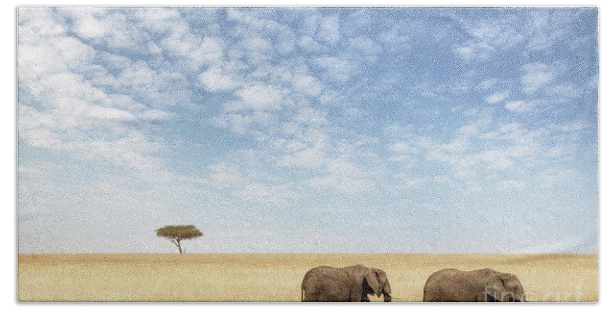 Elephant Hand Towel featuring the photograph Two elephants walking in the Masai Mara by Jane Rix