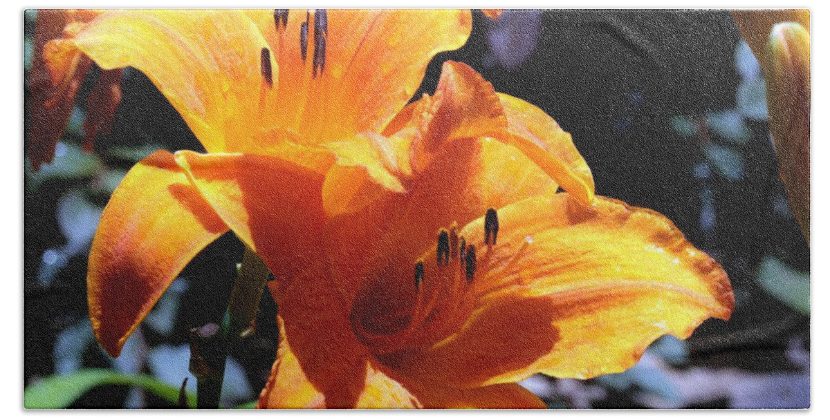 Nature Bath Towel featuring the photograph Two Orange Day Lilies Close-up by Sheila Brown