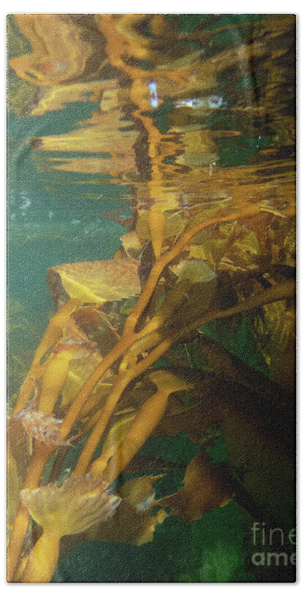 Alaska Hand Towel featuring the photograph Underwater in the Giant Kelp Forest by Nancy Gleason